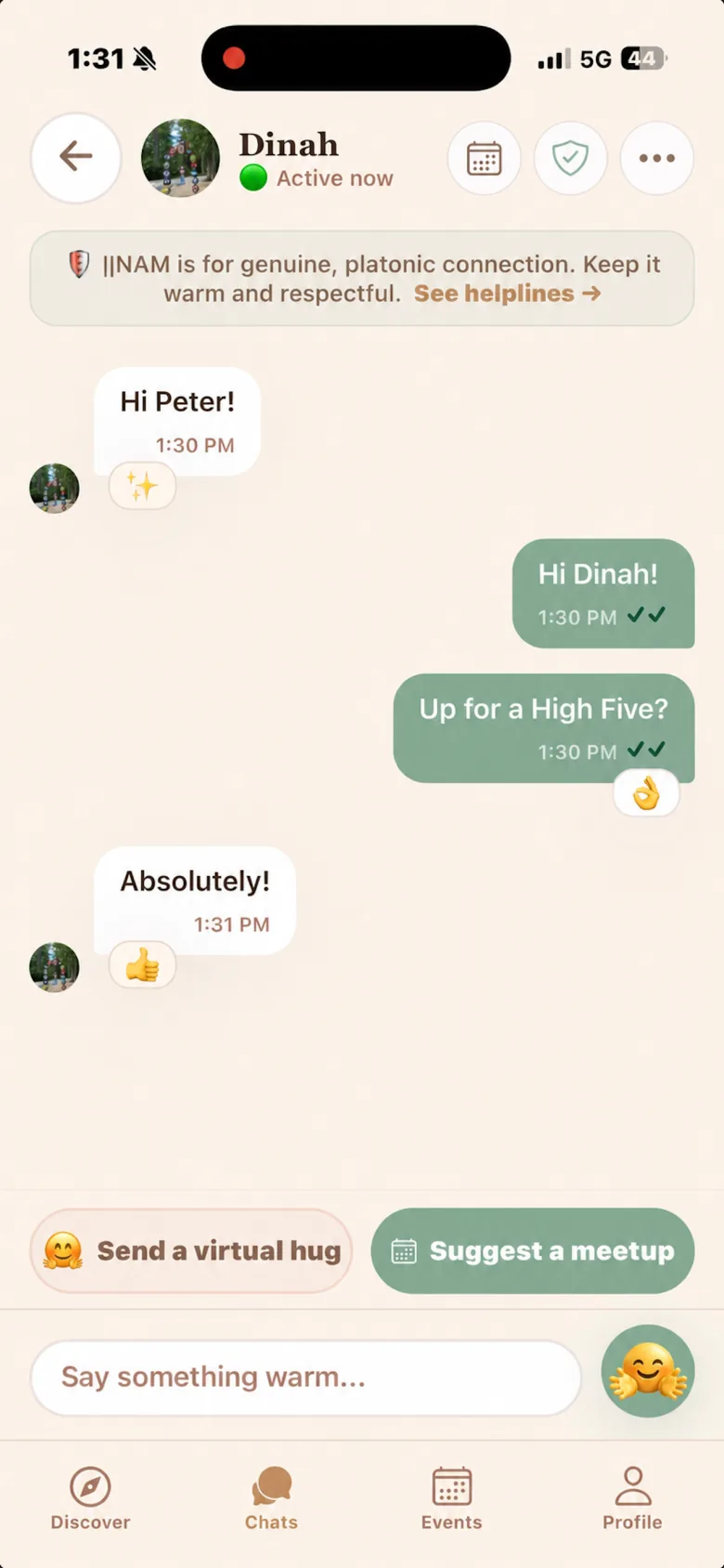 ||NAM chat screen with virtual hug and Suggest a meetup actions.